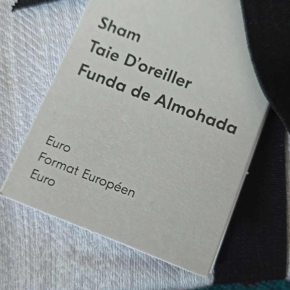 Silky TENCEL™ Striated Euro Sham, Frost Gray, Retail Price $$49.00US